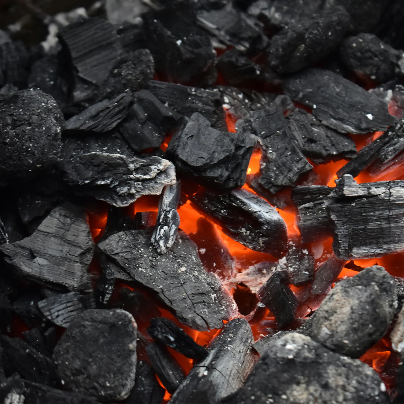 Coal